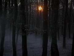 When_Trumpets_Fade_foto_34